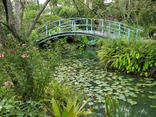 A serene garden scene featuring a blue bridge over a pond filled with lily pads, surrounded by lush greenery and flowers.