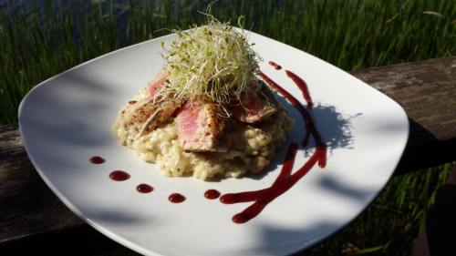 A plate of risotto topped with seared tuna, garnished with sprouts and drizzled with sauce, set against a natural backdrop.