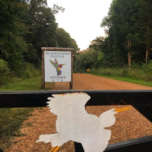 Sign for the Hummingbird Festival on a gravel road, surrounded by trees, with a colorful hummingbird illustration.