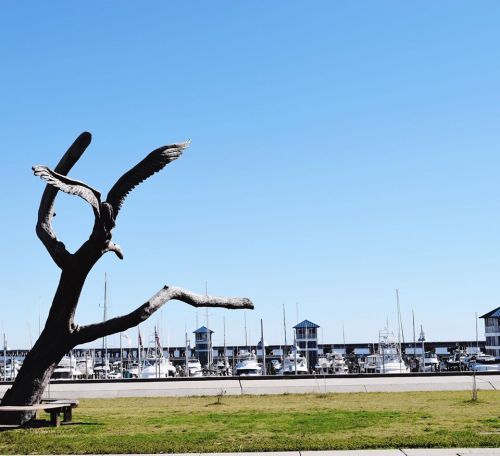 A wooden eagle sculpture stands near a marina with boats and blue sky in the background.