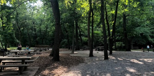 A shaded park area with picnic tables surrounded by trees, featuring a gravel path and a few people in the distance.