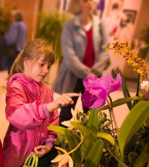 A young girl in a pink jacket points at a vibrant purple flower while adults browse in the background.