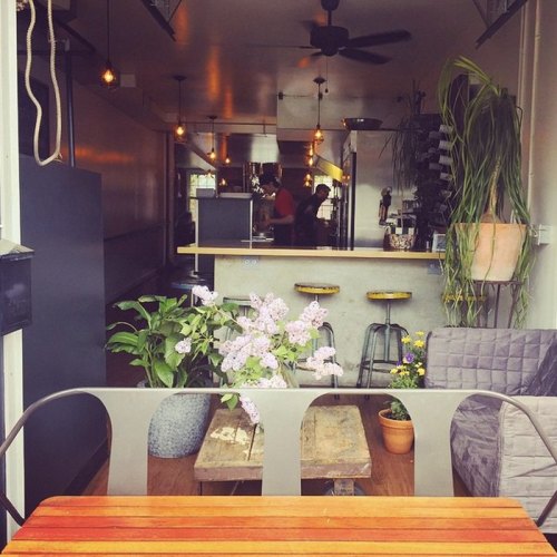Cozy café interior with plants, wooden tables, and a counter in the background. Warm lighting creates a welcoming atmosphere.