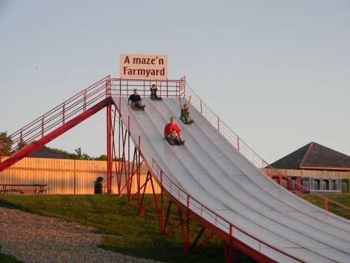 Children sliding down a large, metal slide at A Maze'n Farmyard, with a clear sky in the background.