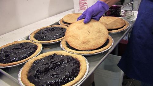 A person in gloves places a top crust on a blueberry pie, surrounded by several unbaked pies on a tray.