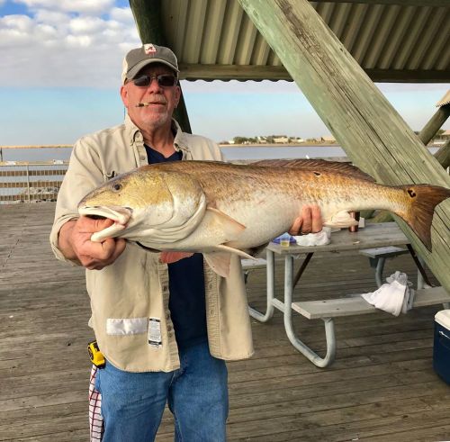 A man in glasses holds a large fish on a wooden pier with a cloudy sky in the background.
