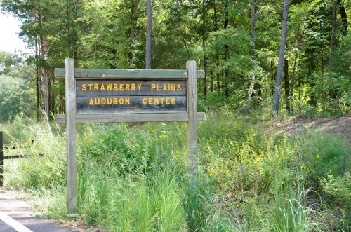 Sign for Strawberry Plains Audubon Center surrounded by greenery and trees.