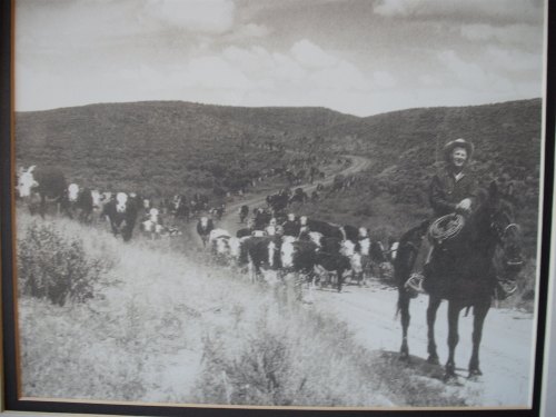 A cowboy on horseback herding a large group of cattle along a dirt road in a hilly landscape.