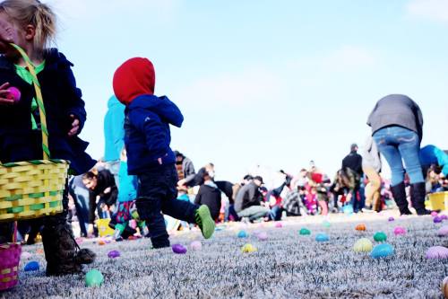 Children with baskets hunt for colorful Easter eggs on a grassy field, with many people participating in the background.