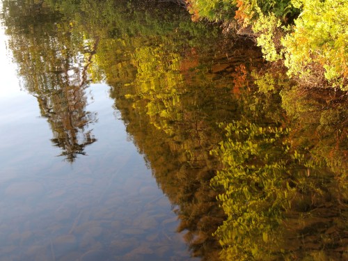 A serene lake reflecting colorful trees and rocks, creating a beautiful interplay of light and nature.