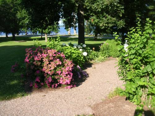 A scenic garden path lined with vibrant flowers and greenery, leading to a serene lake in the background.