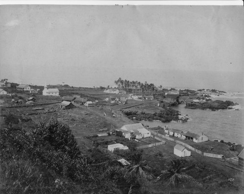 Black and white photo of a coastal village with houses, palm trees, and a rocky shoreline.