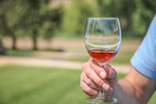 A hand holding a glass of rosé wine, with a blurred outdoor background of greenery.