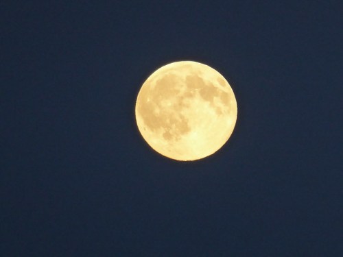 A bright, full moon glowing against a dark blue night sky.
