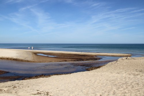 Two people walk along a sandy beach beside a calm blue ocean under a clear sky.