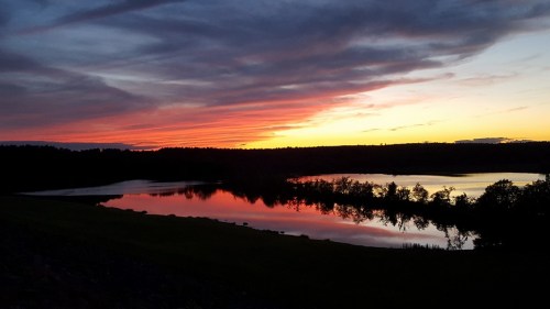 A serene sunset over a lake, with vibrant orange and purple hues reflecting on the water and silhouetted trees.