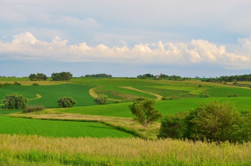 Lush green fields and rolling hills under a cloudy sky, with trees scattered throughout the landscape.