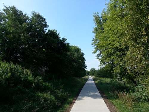 A paved path surrounded by lush greenery and trees under a clear blue sky.