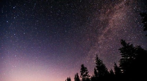 A starry night sky with a visible Milky Way and silhouettes of trees in the foreground.