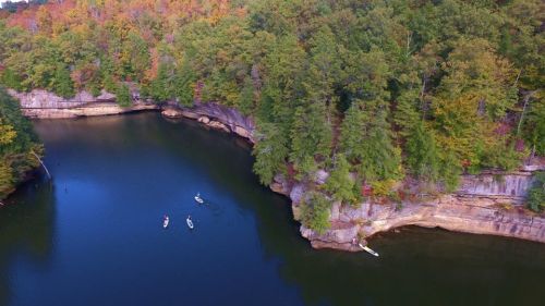 Aerial view of a serene river bend surrounded by lush trees and small boats on the water.