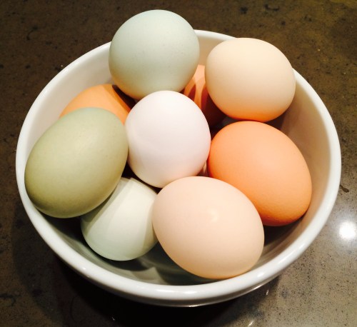 A bowl filled with various colored eggs, including shades of green, white, and orange, on a dark countertop.