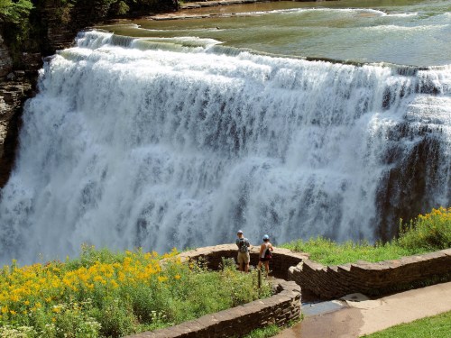 Two people stand near a waterfall surrounded by lush greenery and vibrant yellow flowers.