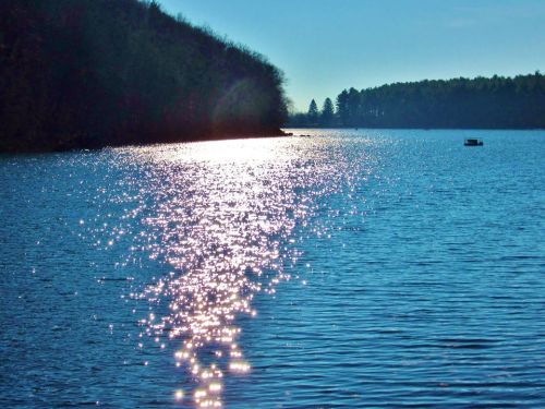 A serene lake reflecting sunlight, surrounded by trees and a distant shoreline under a clear blue sky.