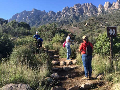 Hikers on a rocky trail surrounded by greenery and mountains under a clear blue sky. Trail sign visible.