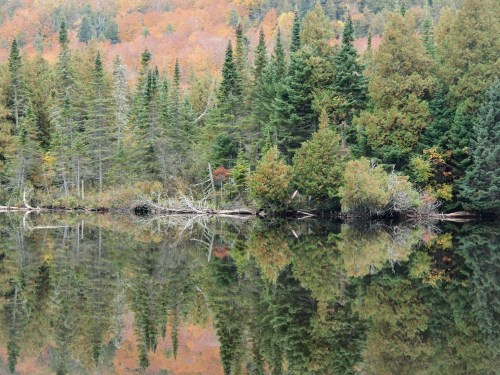 A serene lake reflecting colorful autumn trees and lush greenery along the shore.
