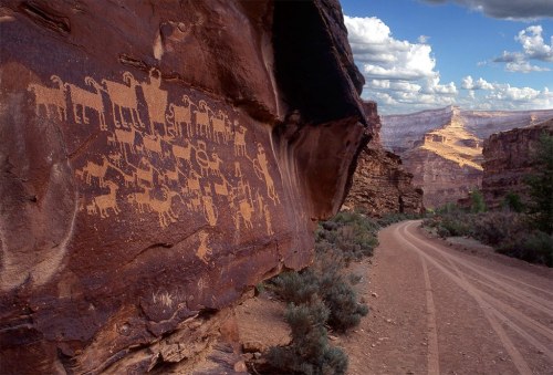 Petroglyphs on a rock face beside a dirt road, with a canyon landscape and cloudy sky in the background.