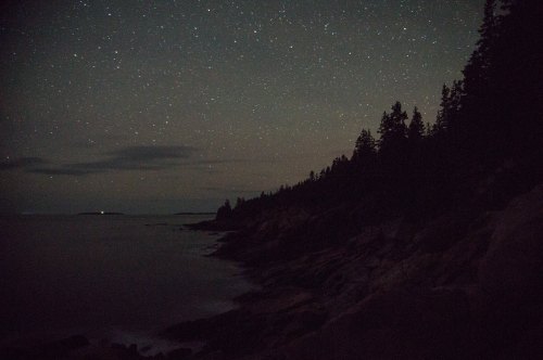 A dark coastline under a starry night sky, with silhouettes of trees and distant lights on the water.