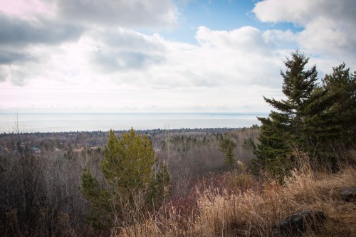 A scenic view of a forested landscape overlooking a calm lake under a cloudy sky.