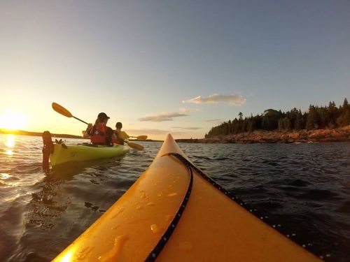 Two people kayaking at sunset, with a scenic shoreline and calm water in the background.