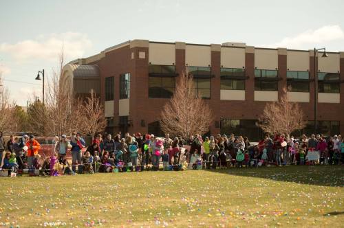 A large crowd gathers on a grassy field, eagerly watching an Easter egg hunt with colorful eggs scattered around.