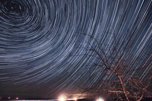 A night sky filled with star trails circling around a tree silhouette, creating a dynamic celestial scene.