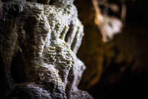 Close-up of a textured, white mineral formation in a cave, illuminated by soft light, showcasing intricate details.