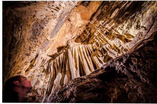 A person gazes up at intricate rock formations inside a cave, illuminated by soft lighting.