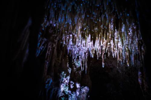 Stalactites hang from a dark cave ceiling, illuminated by soft blue and purple lights.