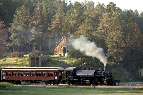 A vintage steam train with a red passenger car travels through a scenic landscape of trees and hills.