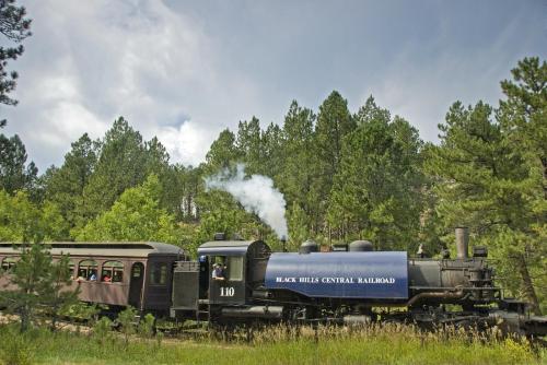 A vintage steam train with a blue engine and passenger car travels through a lush green forest under a cloudy sky.