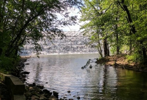 A serene view of a waterfall cascading into a calm river, framed by lush green trees and rocky banks.