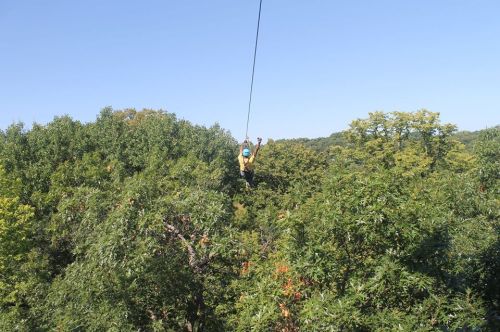 A person zip-lining through a lush green forest on a clear day.