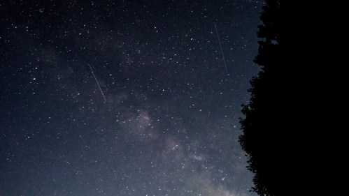 A starry night sky filled with stars and the Milky Way, silhouetted by tree branches on the left.