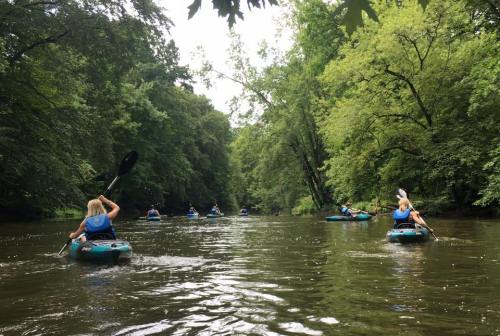 A group of people kayaking on a calm river surrounded by lush green trees.