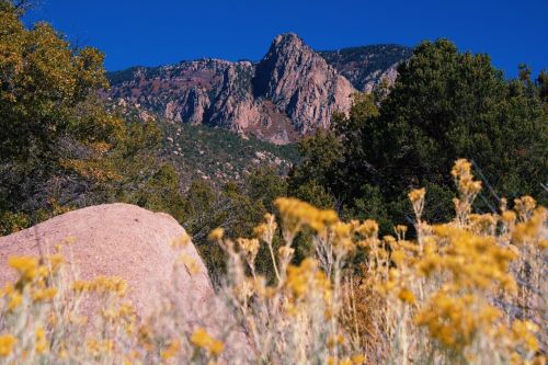 A rocky mountain rises in the background, framed by yellow wildflowers and green trees under a clear blue sky.