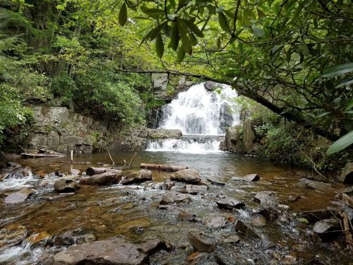 A serene waterfall cascades over rocks, surrounded by lush greenery and a tranquil stream below.