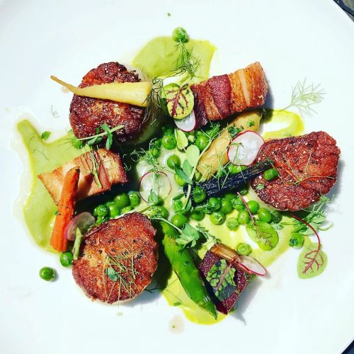 A gourmet dish featuring seared scallops, crispy bacon, green peas, and vibrant vegetables on a creamy puree.