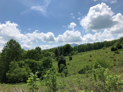 A lush green landscape with trees and rolling hills under a bright blue sky filled with fluffy white clouds.