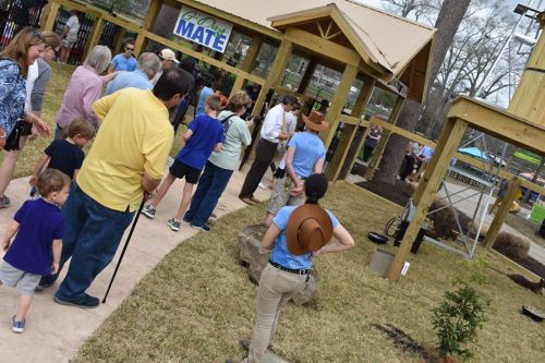 A crowd of people lines up outside a zoo exhibit, with a wooden structure and animals visible in the background.