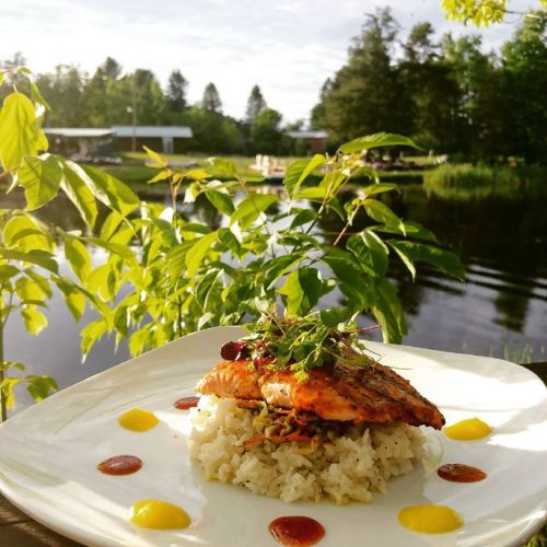 A beautifully plated salmon dish on rice, garnished with herbs, set against a serene lakeside backdrop.